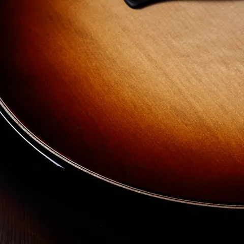 Acoustic／ SeriesギターTaylor Guitars